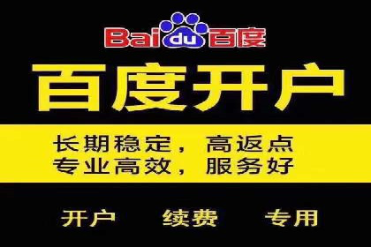 百度推广的SEM策略及其实施案例